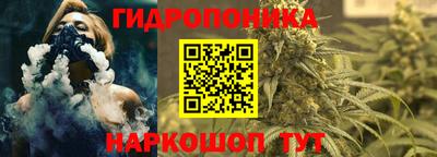 прущие грибы Дубна