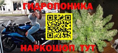 дмт Донской