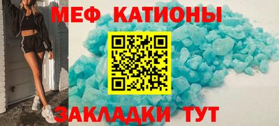 прущие грибы Дубна