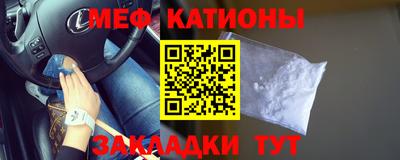 прущие грибы Дубна
